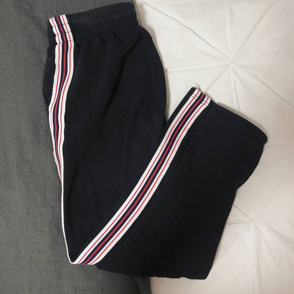 Aritzia TNA The Iconic Sweatpant
